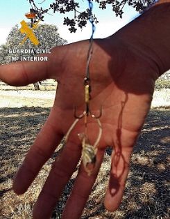 Operación de la Guardia Civil contra el uso de artes prohibidas para la caza. Todas las artes tenían como finalidad la captura o muerte de animales silvestres, en explotaciones ganaderas. El código penal castiga, con penas de hasta dos años de prisión, el uso de estas artes prohibidas, considerados medios no selectivos en lo referente a la captura de especies de fauna.  