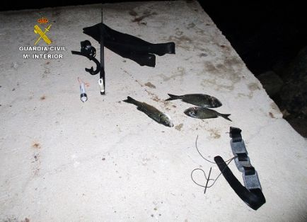 En el marco del ‘Plan contra las capturas ilegales de pesca’, se ha desarrollado una actuación por la Guardia Civil, que ha culminado con la incautación de varias piezas de especies marinas (dorada y lubina), un fusil submarino y otras artes de pesca, a una persona que practicaba pesca submarina clandestina. 