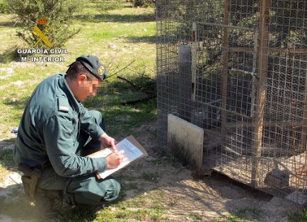 Operación ‘ANTITOX’: Operación enmarcada en el ‘Plan de lucha contra el uso ilegal de veneno denominado Antitox’. La Guardia Civil ha culminado esta operación, con la investigación de dos individuos, a los que se les ha instruido diligencias como presuntos autores de delito relativo a la protección de la flora, la fauna y los animales domésticos, por supuesto uso continuado de veneno con fines cinegéticos.