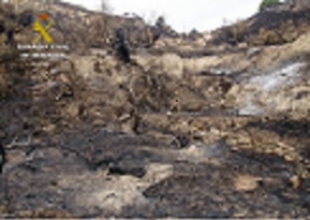 Plan de prevención y actuación contra incendios forestales: La Guardia Civil detiene al presunto autor de ocho incendios forestales. Han resultado calcinadas 17 Hectáreas de masa forestal y de uso agrícola.