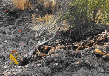 El SEPRONA de la Guardia Civil fruto de la investigación llevada a cabo desde el pasado 15 de octubre, fecha en la que se originó un incendio que calcinó 27 hectáreas de monte en zona protegida, ha identificado e investigado al presunto autor, al que se le imputa un delito de incendio forestal por negligencia grave