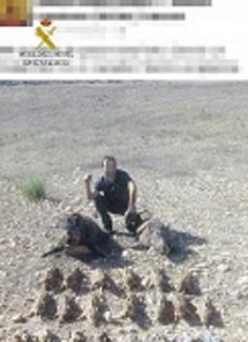 El SEPRONA de la Guardia Civil denuncia a cinco personas por la caza ilegal de hembras y crías de jabalí, como resultado de la investigación llevada a cabo dentro de la Operación “RAYON”.