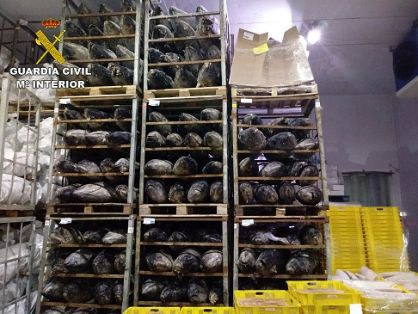 En la operación ATUNALI iniciada por el SEPRONA, que cuenta con la colaboración de INTERPOL y EUROPOL; la Guardia Civil incauta 45 toneladas de atún congelado. El atún, que sólo estaba autorizado para su consumo en conserva, era comercializado como fresco y se cuadruplicaba así su valor en el mercado.