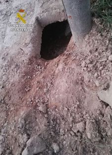 El SEPRONA de la Guardia Civil, dentro de la operación ‘PUPPIES’, investiga a tres personas por sepultar vivos a nueve cachorros de una camada. La colaboración ciudadana ha sido crucial para la investigación y para salvar la vida a dos de los cachorros.