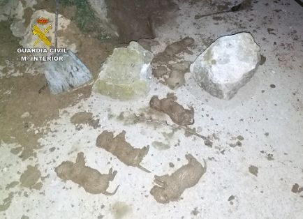 El SEPRONA de la Guardia Civil, dentro de la operación ‘PUPPIES’, investiga a tres personas por sepultar vivos a nueve cachorros de una camada. La colaboración ciudadana ha sido crucial para la investigación y para salvar la vida a dos de los cachorros.