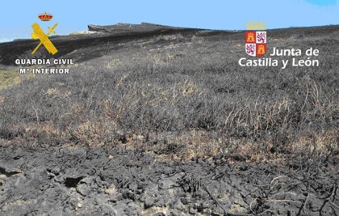 El SEPRONA de la Guardia Civil investiga a un ganadero y a su hijo menor por un delito de incendio forestal, en el que ardieron 16 hectáreas de monte bajo, tras detectarse 9 focos diferentes.