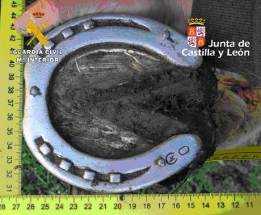 El SEPRONA de la Guardia Civil investiga a un ganadero y a su hijo menor por un delito de incendio forestal, en el que ardieron 16 hectáreas de monte bajo, tras detectarse 9 focos diferentes.