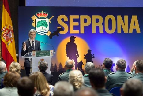 El Ministro del Interior ha presidido el 30º Aniversario de la creación del SEPRONA de la Guardia Civil. Durante este acto, Grande-Marlaska ha estado acompañado del Secretario de Estado de Medio Ambiente, Hugo Alfonso Morán Fernández, y del Director General de la Guardia Civil, José Manuel Holgado, entre otras autoridades civiles y militares.     
