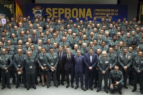 El Ministro del Interior ha presidido el 30º Aniversario de la creación del SEPRONA de la Guardia Civil. Durante este acto, Grande-Marlaska ha estado acompañado del Secretario de Estado de Medio Ambiente, Hugo Alfonso Morán Fernández, y del Director General de la Guardia Civil, José Manuel Holgado, entre otras autoridades civiles y militares.     