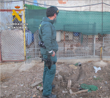 La Guardia Civil destapa una residencia canina clandestina. Las instalaciones inspeccionadas, donde se alojaban 19 perros, carecían de los permisos y licencias necesarias para desarrollar la actividad.