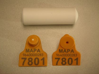 Bolo IDEA y crotal