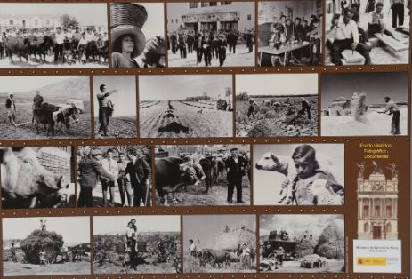cultivando memoria1