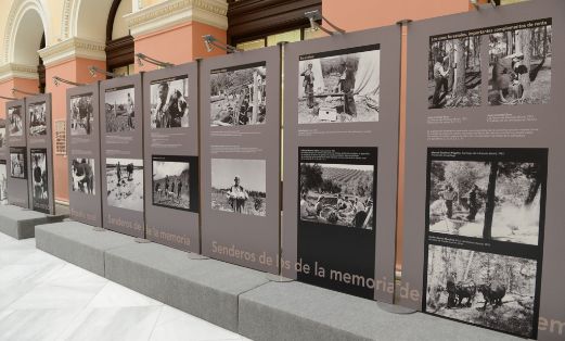 cultivando memoria 2
