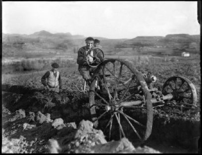 Desfondando con arado y malacate. 1911