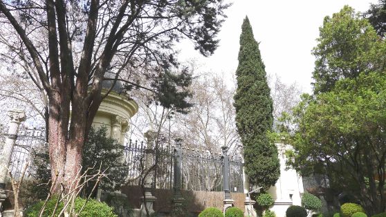 Detalle del jardín del Palacio de Fomento. Foto: C. G.