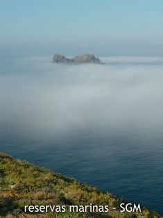 Autor: D. K. Kersting Título: Niebla Ferrera