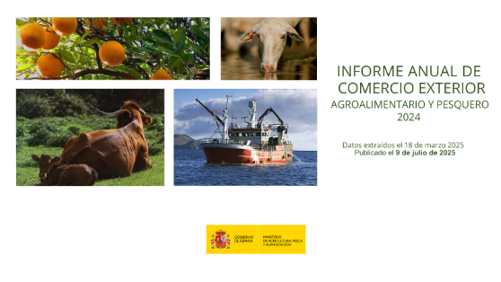 Publicado el Informe Anual de Comercio Exterior 2024 