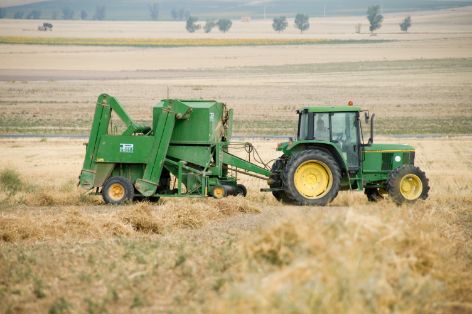 Balance de la línea de crédito para el sector primario