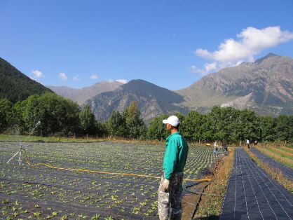 El MAPA publica el informe “Agricultura Ecológica. Estadísticas 2018” 