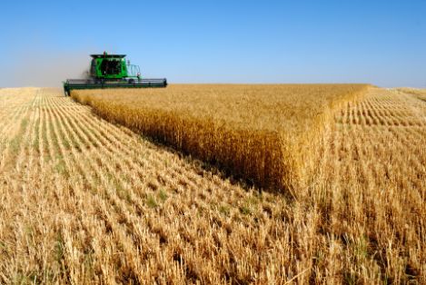 Principales cifras económicas del sector agrario