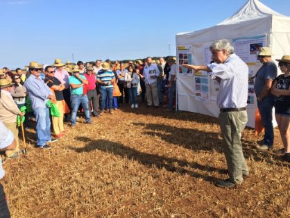 En colaboración con la Consejería de Agricultura, Medio Ambiente y Desarrollo Rural de Castilla – La Mancha y el Ayuntamiento de Cifuentes (Guadalajara) 