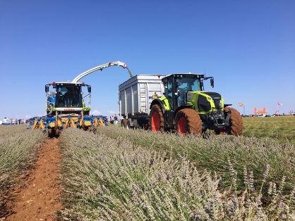 En colaboración con la Consejería de Agricultura, Medio Ambiente y Desarrollo Rural de Castilla – La Mancha y el Ayuntamiento de Cifuentes (Guadalajara) 