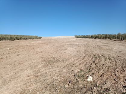 A través de la Sociedad Mercantil Estatal de Infraestructuras Agrarias (SEIASA)