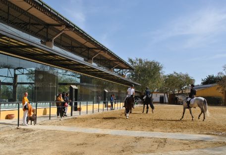 Hoy en el marco de la Jornada “Trabajando con el sector equino” en Jerez de la Frontera 