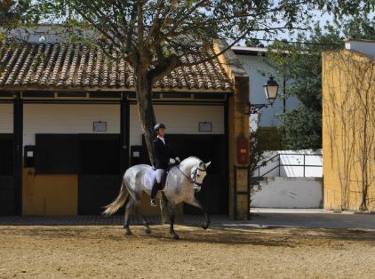 Hoy en el marco de la Jornada “Trabajando con el sector equino” en Jerez de la Frontera 