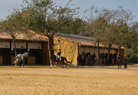Hoy en el marco de la Jornada “Trabajando con el sector equino” en Jerez de la Frontera 