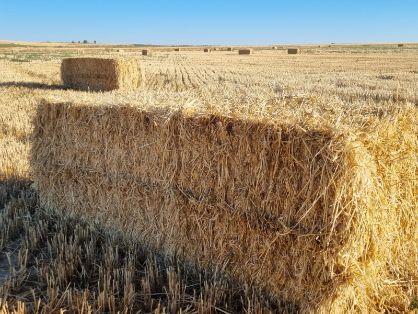 ANTE LA FINALIZACIÓN, EN LAS PRÓXIMAS SEMANAS, DE LA DECLARACIÓN DE LA RENTA 2021   