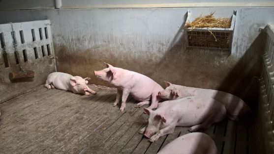 Publicado el informe sobre implantación de Mejores Técnicas Disponibles  