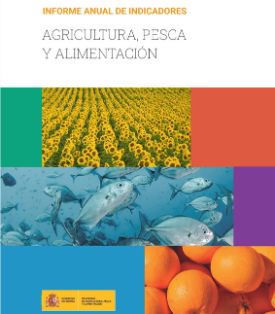 Disponible en la página web del ministerio 