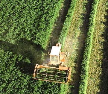 Cerrado el ejercicio financiero del FEAGA