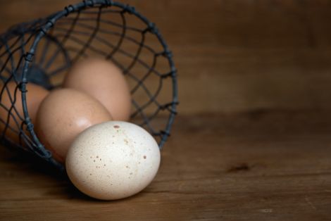 Hoy, en Consejo de Ministros  