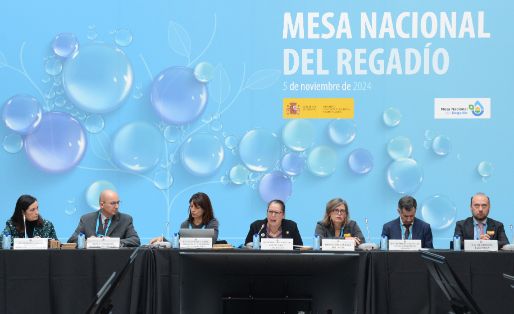 Segunda reunión del pleno de la Mesa Nacional del Regadío