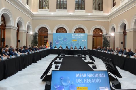 Segunda reunión del pleno de la Mesa Nacional del Regadío