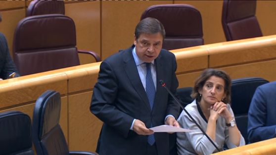 HOY, EN EL SENADO 
