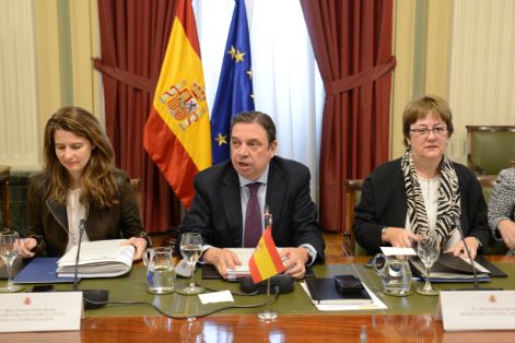 HOY, EN EL CONSEJO CONSULTIVO DE POLÍTICA PESQUERA