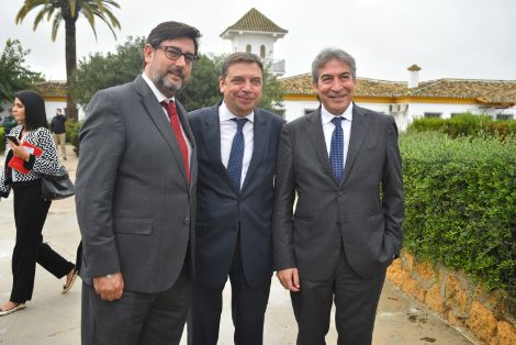 HOY, EN UTRERA (SEVILLA)