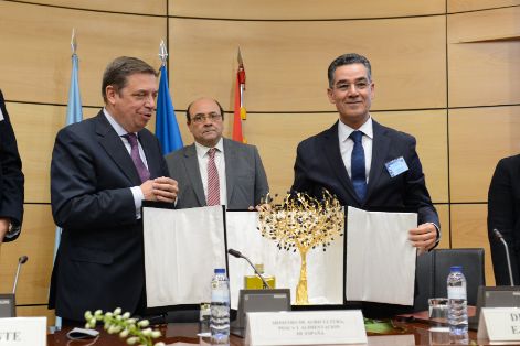 HOY, EN LA CELEBRACIÓN DEL DÍA MUNDIAL DEL OLIVO Y DEL 60 ANIVERSARIO DEL COI