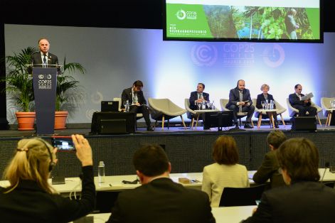 Hoy, en la Reunión de Alto Nivel sobre Bosques, en la COP25