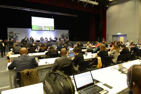 Hoy, en la Reunión de Alto Nivel sobre Bosques, en la COP25