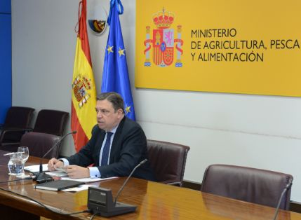 EN LA REUNIÓN DE LA MESA NACIONAL DE CÍTRICOS 