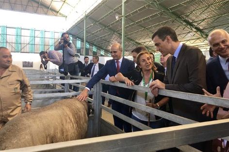 EN ZAFRA (BADAJOZ)