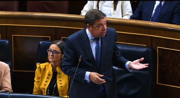 Hoy, en el Pleno del Congreso 