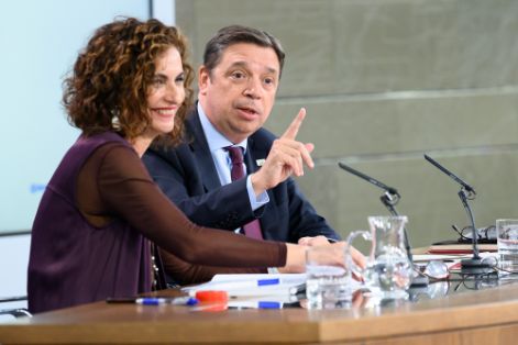Según ha detallado el ministro Luis Planas tras el Consejo de Ministros