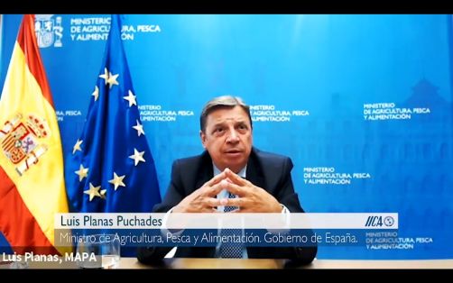 En el encuentro, por videoconferencia, con el director de IICA 