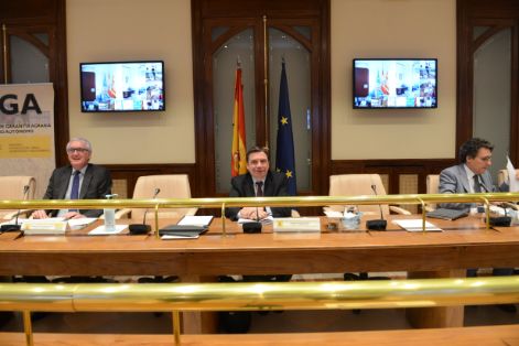 CONSEJO CONSULTIVO DE POLÍTICA AGRÍCOLA Y PESQUERA, REUNIÓN CON LAS CCAA PREVIA AL CONSEJO DE MINISTROS DE AGRICULTURA DE LA UE
