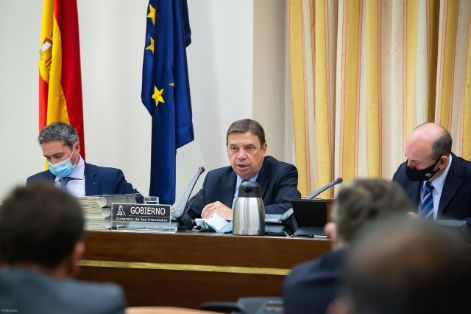 EN LA COMISIÓN DE AGRICULTURA, PESCA Y ALIMENTACIÓN DE LA CÁMARA BAJA